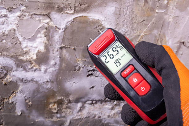 Best Commercial Mold Remediation in Wmington, IL